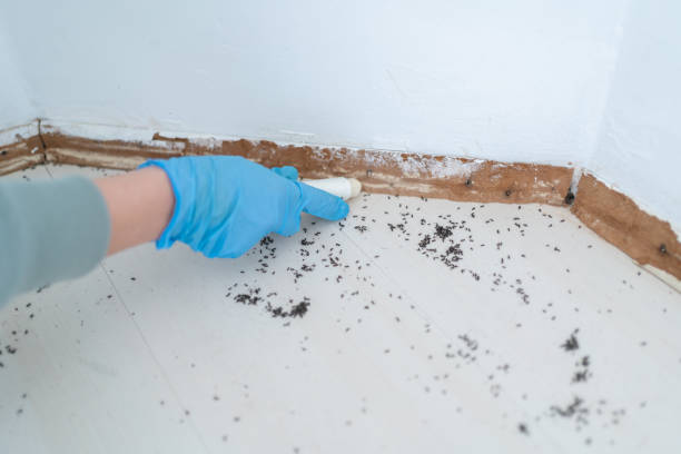 Best Pest Control for Multi-Family Homes  in Vernon, WI